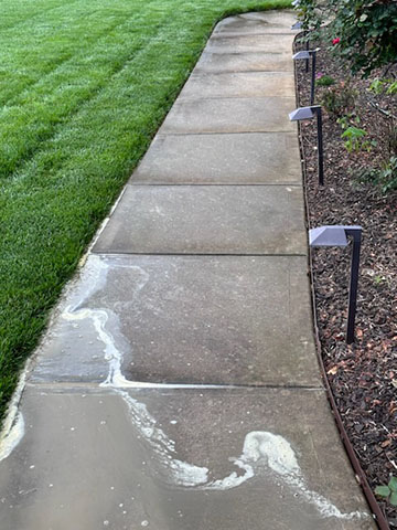 Image of Walkway Before Pressure Washing